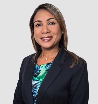 Azalia Reyes Rodriguez Azalea Figueroa Reyes | González López & López Adames | Attorneys